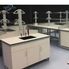 Laboratory Furniture Typical Wood and Steel Lab Bench Lab Table Processed by German Facilities