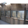 Standard Stainless Steel Fume Hood and Cupboard for Chemical Laboratory