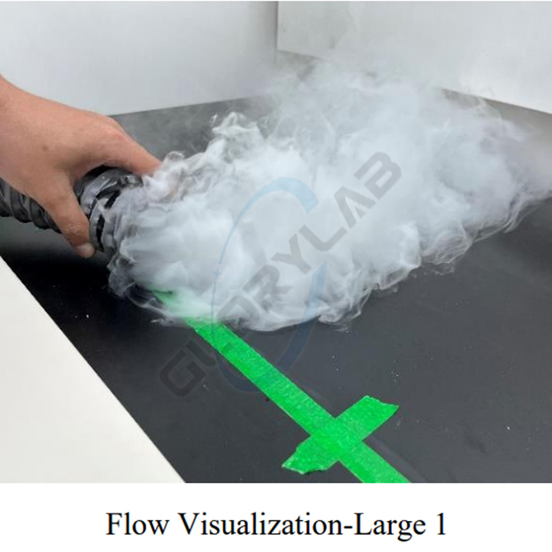 Fume hood ASHRAE110 smoke test