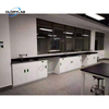 Laboratory Epoxy Resin Countertop or Worktop for Temperature And Corrosion Resistance